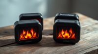 cozy flame sound speakers