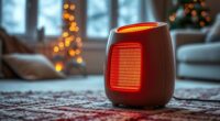 top ceramic heaters for winter