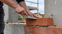 Swift bricks to be installed on all new buildings in Scotland