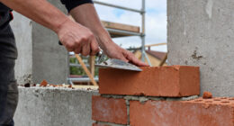 Swift bricks to be installed on all new buildings in Scotland